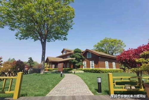 崇阳最新爆料消息查询电话,电话泄露事件引发关注