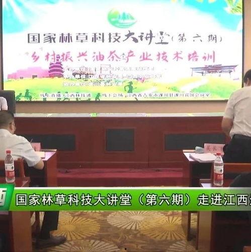最新茶叶爆料新闻,神秘新品亮相，传统茶文化焕发新活力